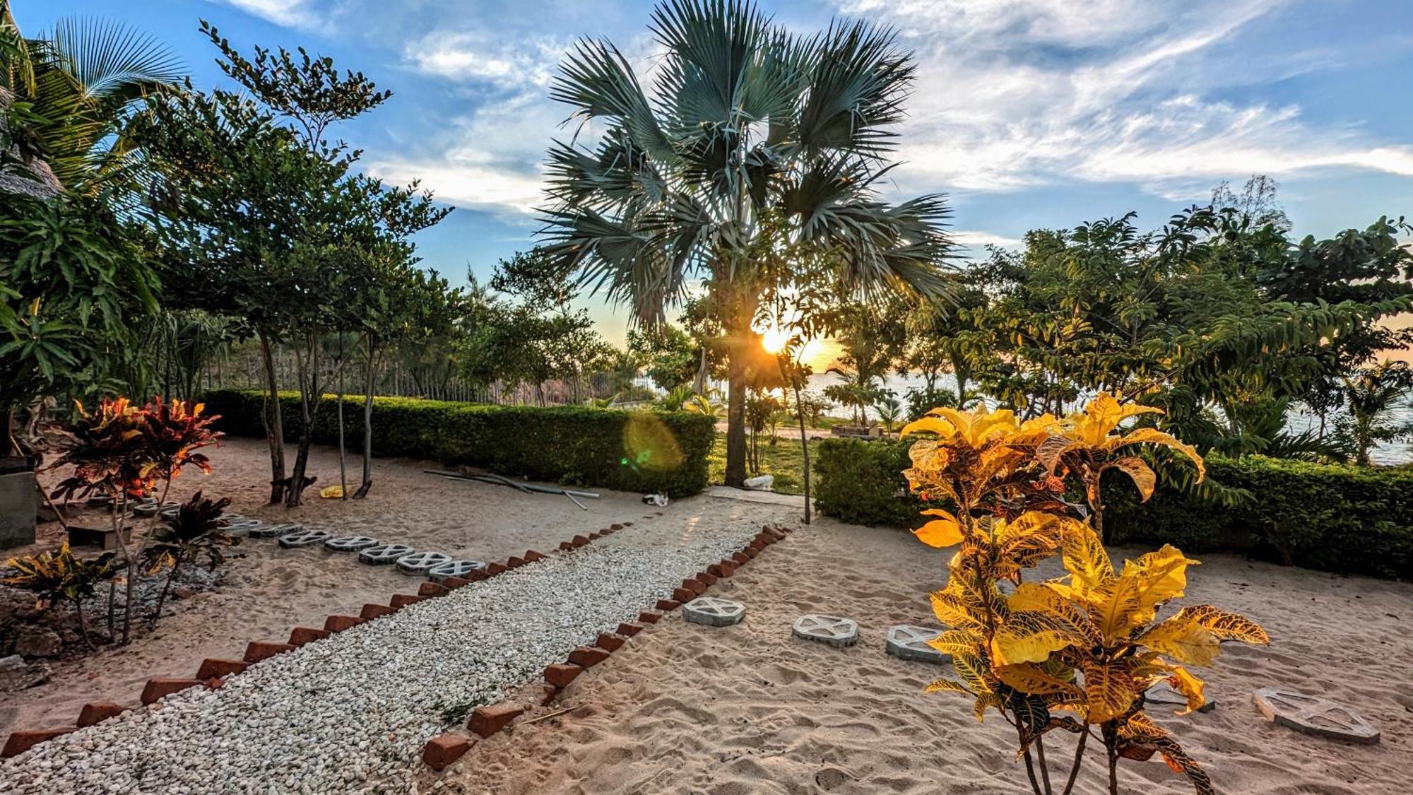 Ampazony Oasis Lodge マジュンガ エクステリア 写真