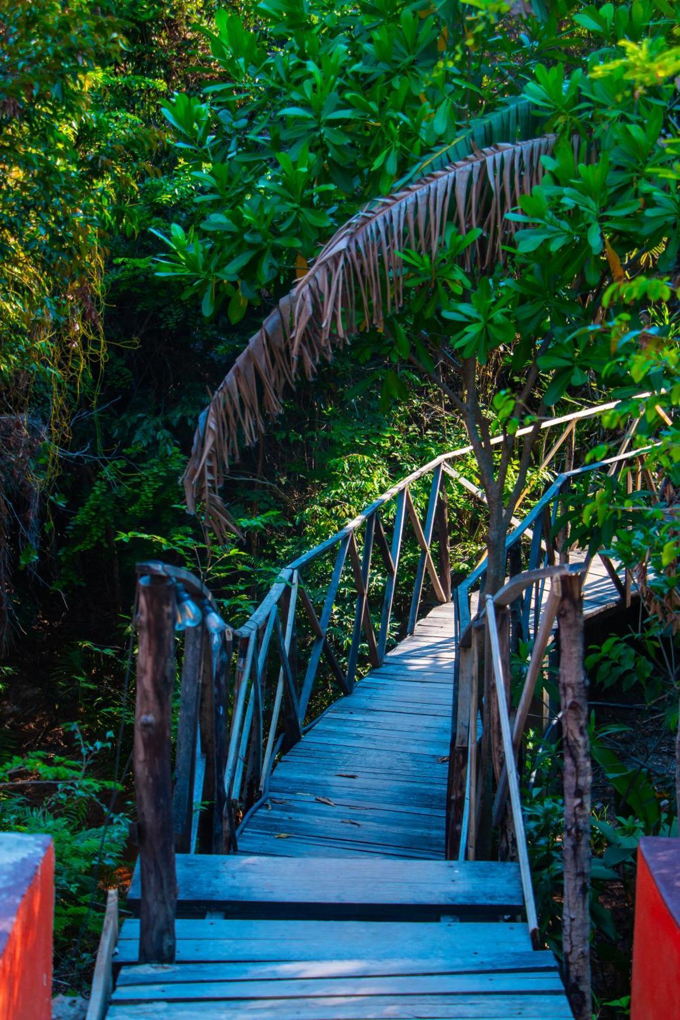 Ampazony Oasis Lodge マジュンガ エクステリア 写真